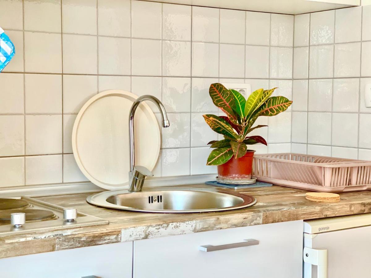 Garden House ブドヴァ エクステリア 写真