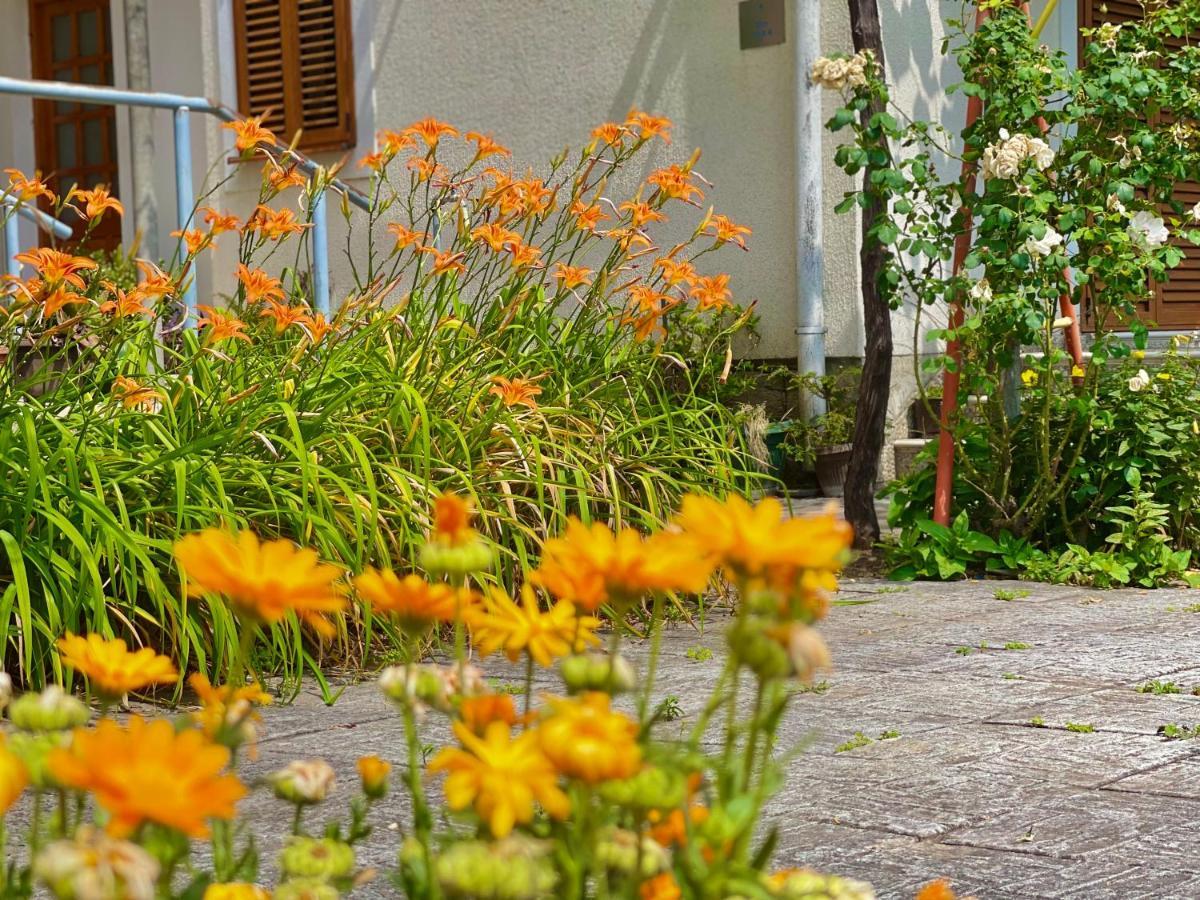 Garden House ブドヴァ エクステリア 写真