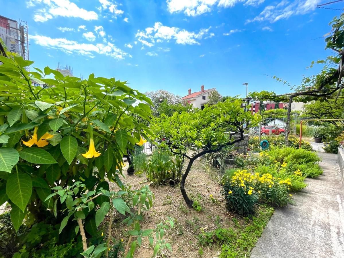 Garden House ブドヴァ エクステリア 写真
