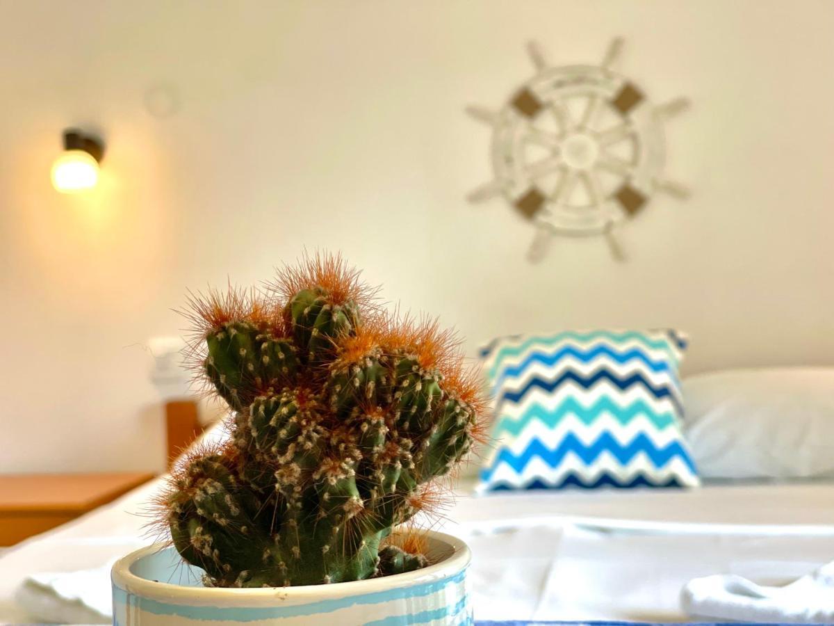 Garden House ブドヴァ エクステリア 写真
